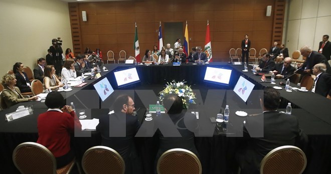 TPP members commit to economic, trade integration  - ảnh 1